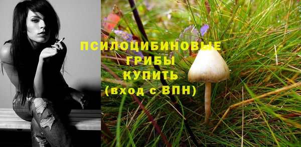 PSILOCYBIN Волосово